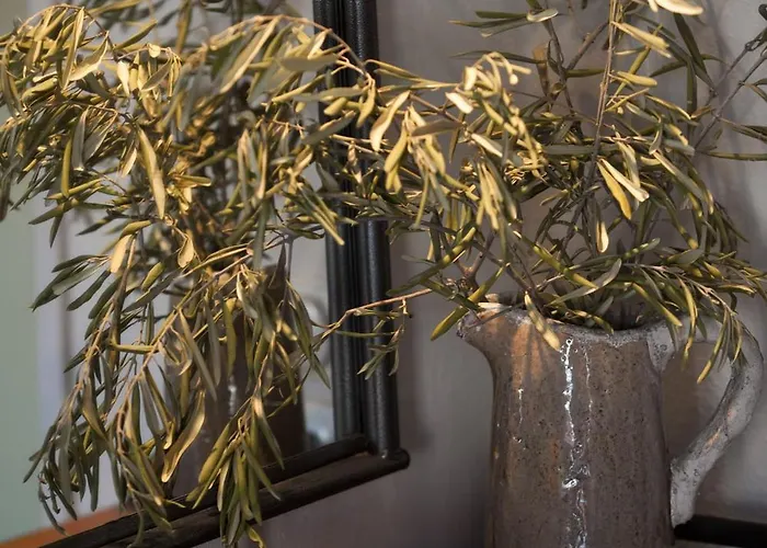 בית הארחה Skourgias